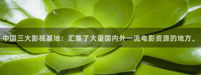 青娱乐超碰在线