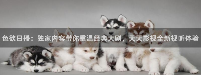 老熟女超碰：色欲日播：独家内容带你重温经典大剧，天天影视全新视听体验