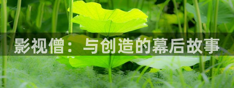 超碰在线vip：影视僧：与创造的幕后故事