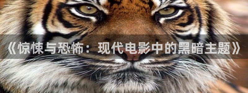 美臀超碰：《惊悚与恐怖：现代电影中的黑暗主题》